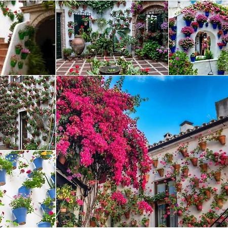 Apartamento Centrico En El Casco Historico De Córdoba Exterior foto